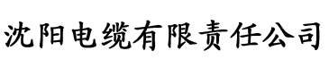 你懂的香蕉视频电缆厂logo